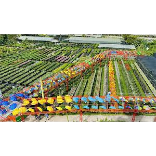 Transfer to Sa Dec Flower Village from Ho Chi Minh
